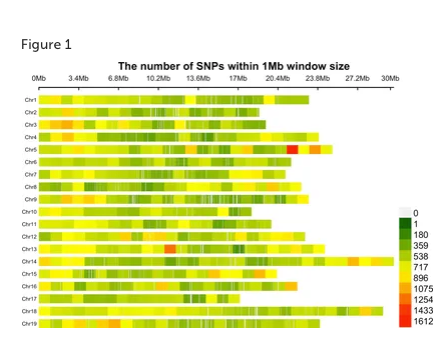 Screenshot 2025-07-03 at 8.04.36 PM